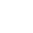Lake Star logo